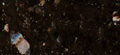 BLACK GALAXY
