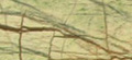 FOREST GREEN MARBLE