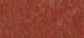 LAKHA RED