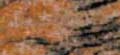 TIGER SKIN