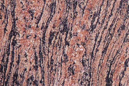 TIGER SKIN